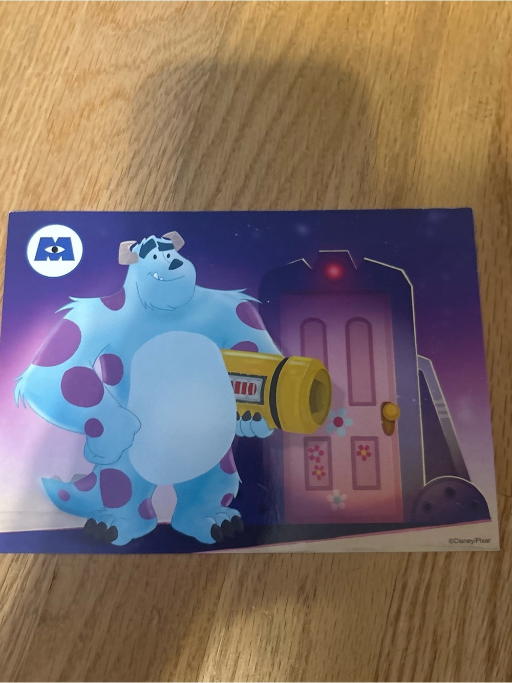Disney World Sully Autograph Signature Card